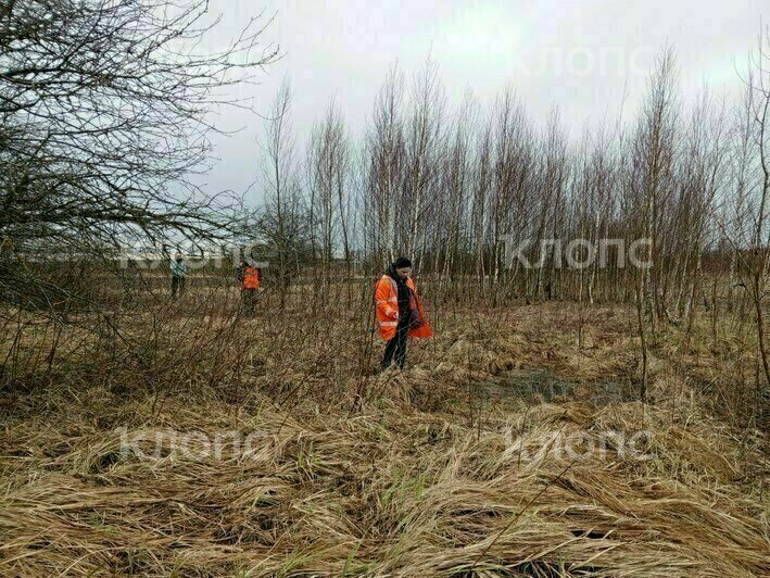 Волонтёры и полиция три дня прочесывали болота и поля в конце Советского проспекта | Фото: ПСО «Запад»