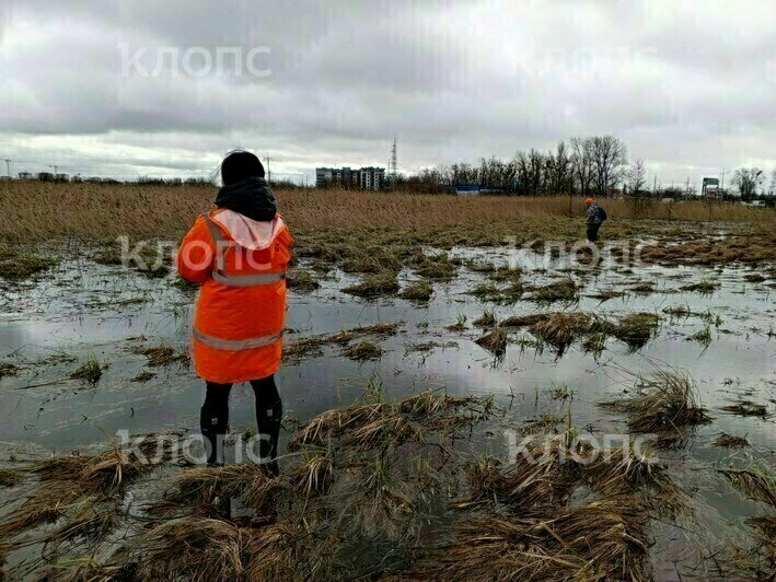 Волонтёры и полиция три дня прочесывали болота и поля в конце Советского проспекта | Фото: ПСО «Запад»