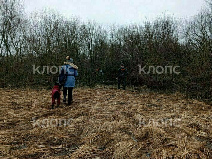 Волонтёры и полиция три дня прочесывали болота и поля в конце Советского проспекта | Фото: ПСО «Запад»