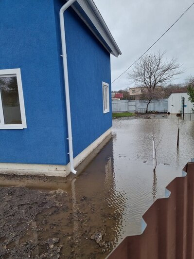 Все посадки уничтожены, тонем в фекалиях и воде: в центре Янтарного затопило дворы (фото и видео)  - Новости Калининграда | Фото: очевидец