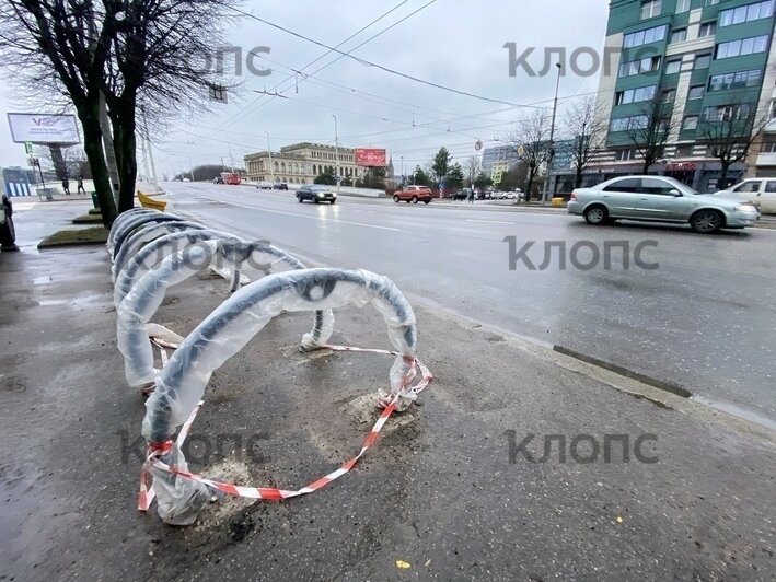 В Калининграде появились специальные остановки и урны с наклоном для велосипедистов (фото) - Новости Калининграда | Фото: Александр Подгорчук / «Клопс»