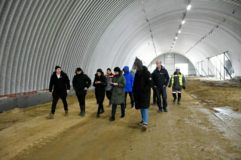 Власти рассказали, когда запустят завод по производству картофеля фри в Черняховске  - Новости Калининграда | Фото:  Минсельхоз Калининградской области