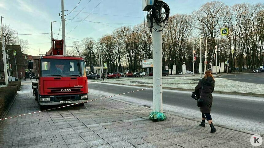 В Калининграде полиция ищет контору «Рога и копыта», которая снимала новогоднюю иллюминацию с нарушением ПДД - Новости Калининграда | Фото: архив «Клопс»