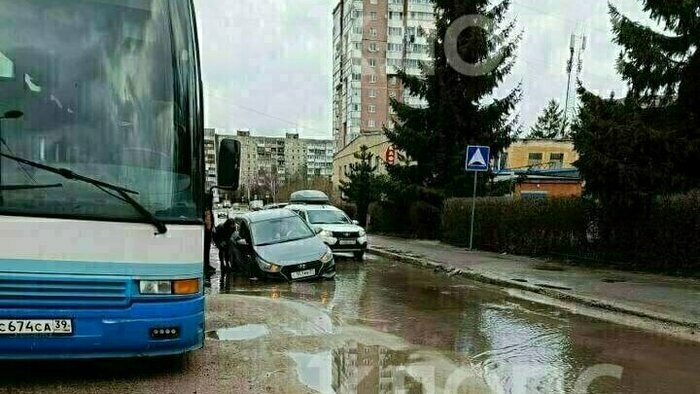 Спасение из болота и планы НАТО относительно Калининграда: 8 новостей, которые обсуждали в длинные выходные - Новости Калининграда | Фото: очевидец