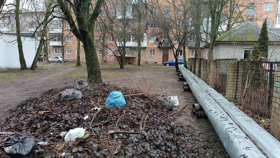 На Нарвской установили новые мусорки взамен тех, что портили жизнь всей округе (фото) - Новости Калининграда | Фото: страница Елены Дятловой во «ВКонтакте»