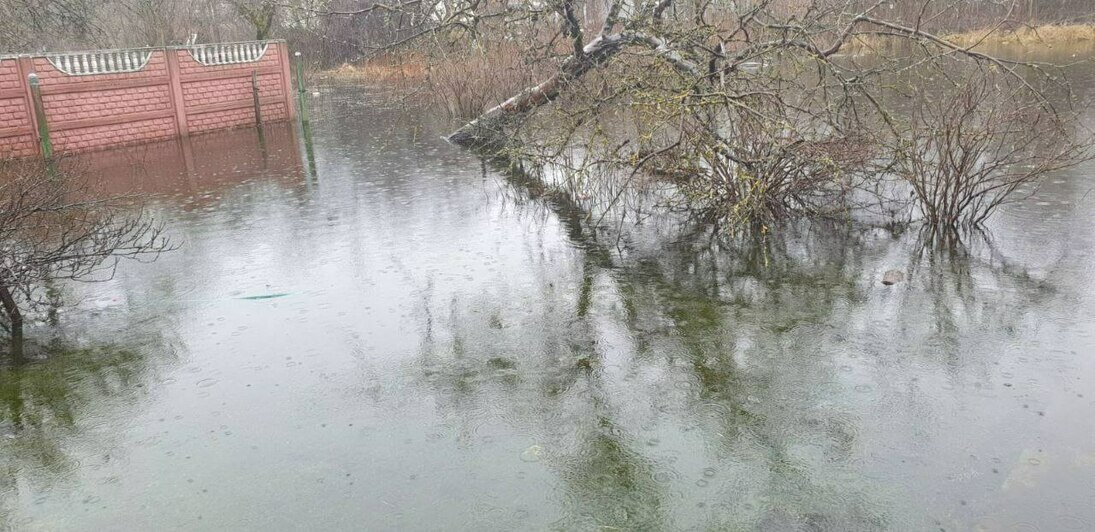 «Устали жить в Венеции»: под Калининградом затопило несколько улиц, вода стоит неделями (фото)   - Новости Калининграда | Фото: очевидец