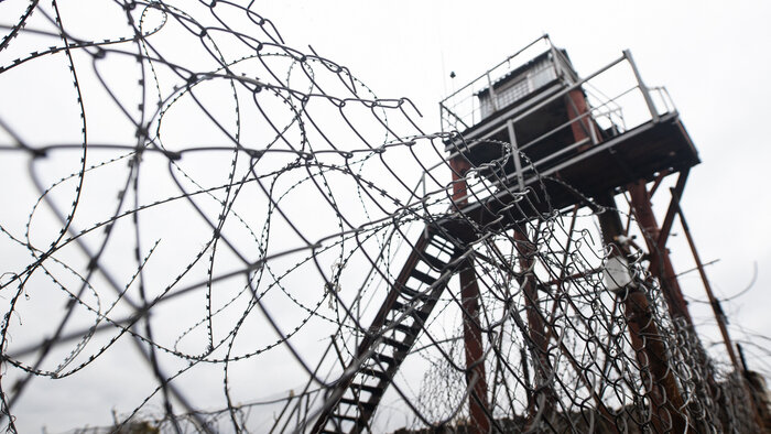 Доплаты пенсионерам и указ о помиловании осуждённых россиянок: 9 событий, которые обсуждали на неделе   - Новости Калининграда | Фото: Александр Подгорчук / Архив «Клопс»