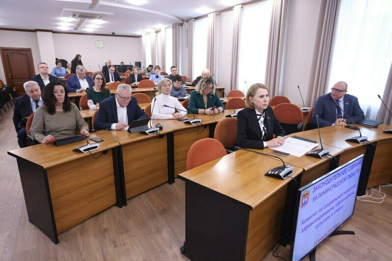 Андрей Кропоткин: Поправки в федеральный закон защитят интересы инвалидов   - Новости Калининграда | Фото: «Клопс»