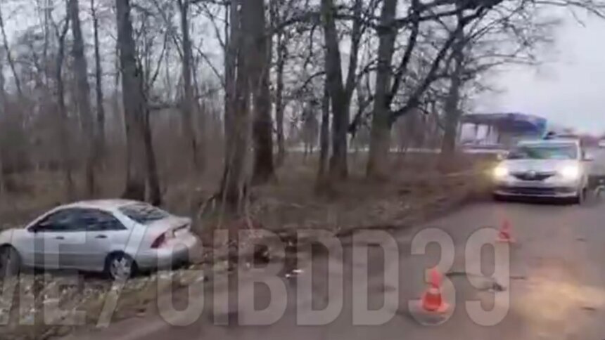 В Полесском районе автомобилистка сбила подростка     - Новости Калининграда | Фото: пресс-служба региональной ГИБДД