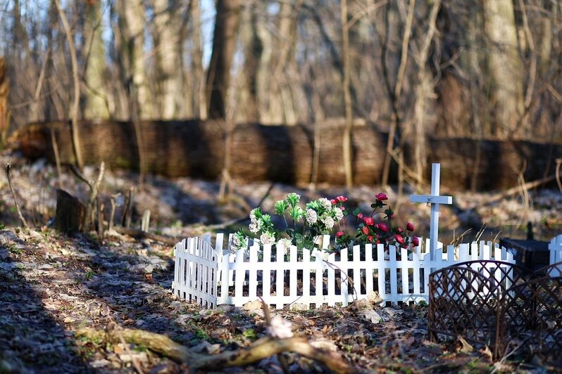 Не одна сотня могил: на Сельме образовалось стихийное кладбище домашних животных (фоторепортаж)   - Новости Калининграда | Фото: Александр Подгорчук / «Клопс»