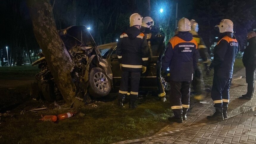 На Черняховского автомобиль врезался в дерево (фото)    - Новости Калининграда | Фото: очевидец