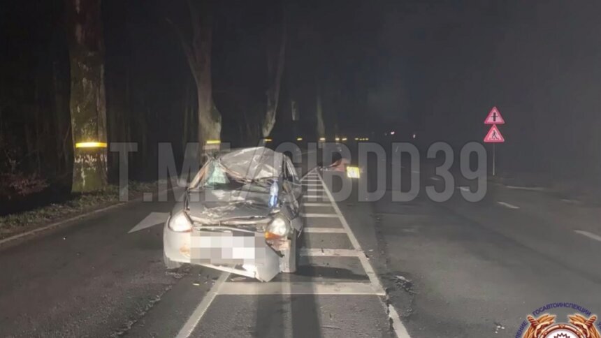 Лошадь внезапно выбежала на дорогу: в полиции рассказали подробности ДТП под Зеленоградском  - Новости Калининграда | Фото: пресс-служба УМВД по Калининградской области