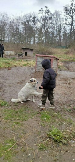 Хозяйка приюта благодарит всех, кто помог питомцам «Дружка» | Фото: Галина Головко 