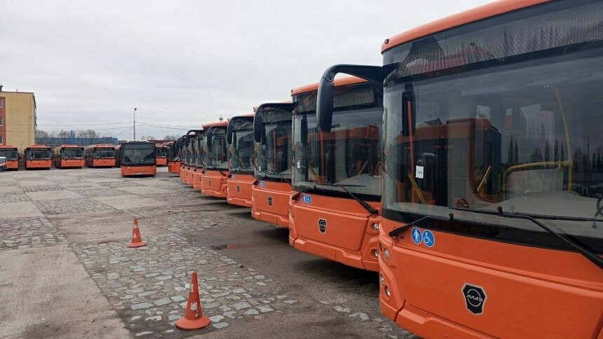 Новые ЛиАЗы получили дефекты при перевозке в Калининград - Новости Калининграда | Предоставлено администрацией Калининграда