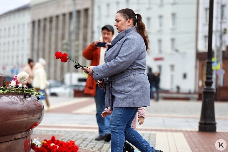 Свечи, игрушки, цветы: в Калининграде проходит акция памяти о жертвах теракта в «Крокус Сити Холле» (фоторепортаж)   - Новости Калининграда | Фото: Александр Подгорчук / «Клопс»