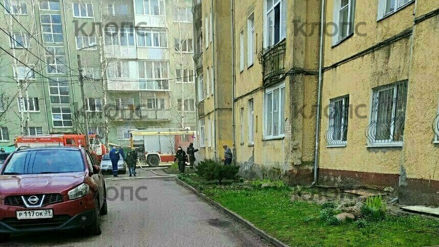 Пожар в подвале дома на ул. Угловой в Калининграде | Фото: очевидец