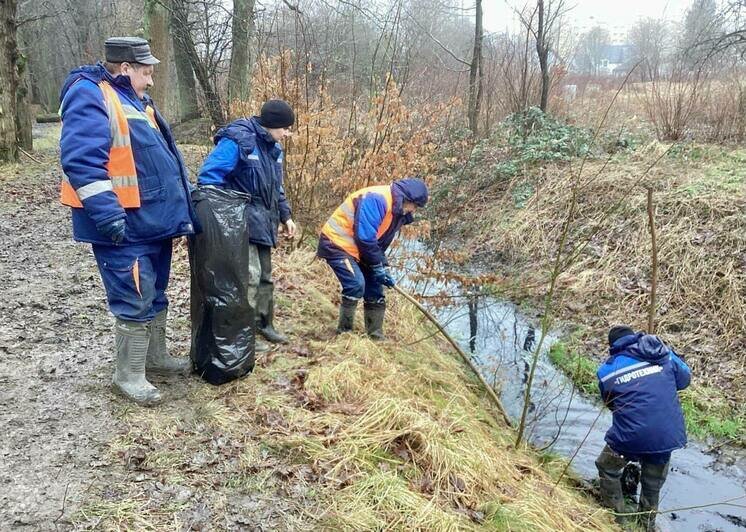 В Калининграде устроят рейд вдоль водных объектов, чтобы перекрыть как можно больше нелегальных стоков  - Новости Калининграда | Фото: администрация Калининграда