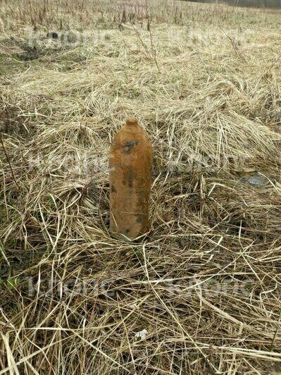 В лесу под Калининградом местный житель обнаружил артиллерийский снаряд (фото)    - Новости Калининграда | Фото: очевидец