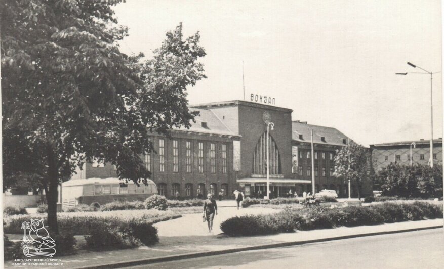 В госархиве показали, как выглядел Калининград на видовых открытках 1960-х  - Новости Калининграда | Фото: госархив