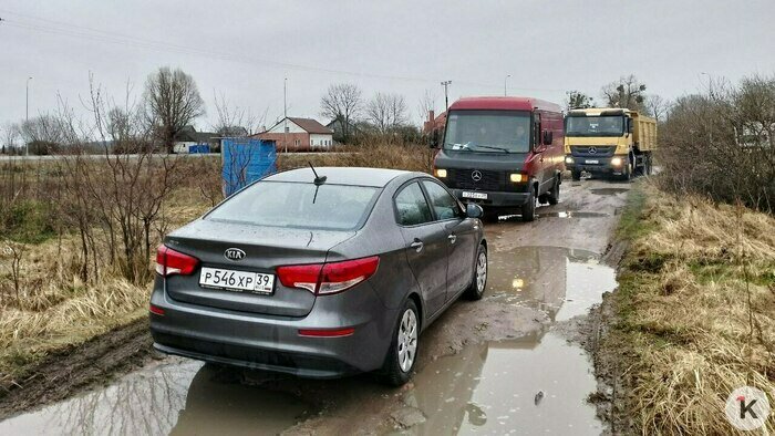 На просёлочной дороге под Калининградом два водителя отказались пропускать друг друга и простояли почти час - Новости Калининграда | Фото предоставлено очевидцем