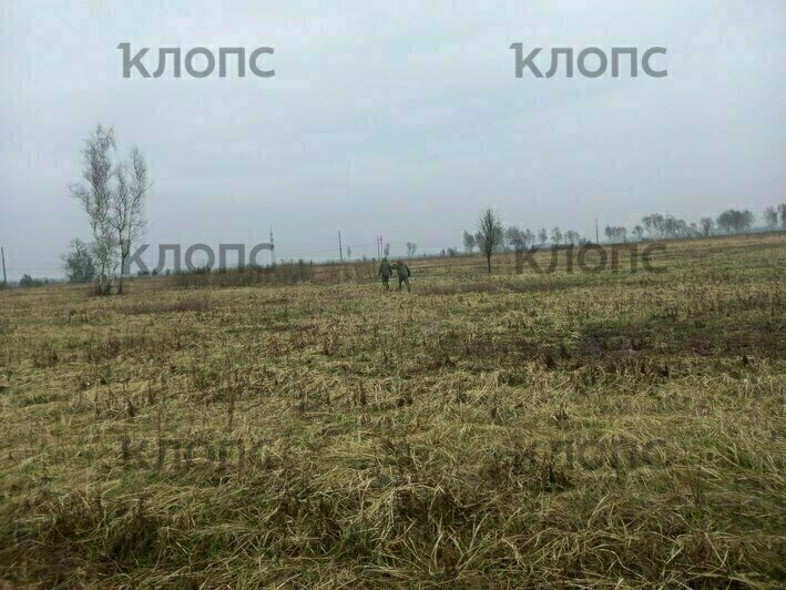 В лесу под Калининградом местный житель обнаружил артиллерийский снаряд (фото)    - Новости Калининграда | Фото: очевидец