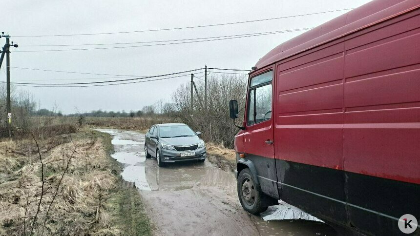 На просёлочной дороге под Калининградом два водителя отказались пропускать друг друга и простояли почти час - Новости Калининграда | Фото предоставлено очевидцем