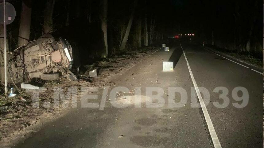 На трассе Калининград — Балтийск автомобилист не справился с ночной дорогой, врезался в дерево и вылетел в кювет - Новости Калининграда | Фото: пресс-служба регионального УМВД