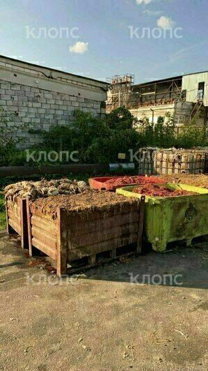 На птицефабрике в Калининграде нашли нарушения, предприятие получило предостережение от Россельхознадзора - Новости Калининграда | Фото: очевидец