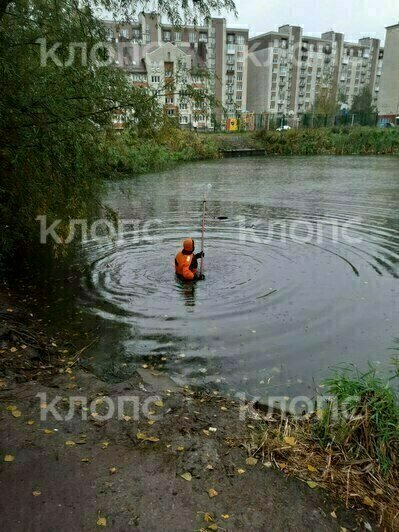 Тело погибшей передали полицейским  | Фото: очевидец 