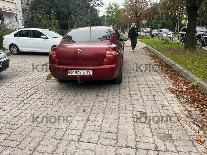 В центре Калининграда появились новые пешеходные переходы: что не так с зебрами (фото) - Новости Калининграда