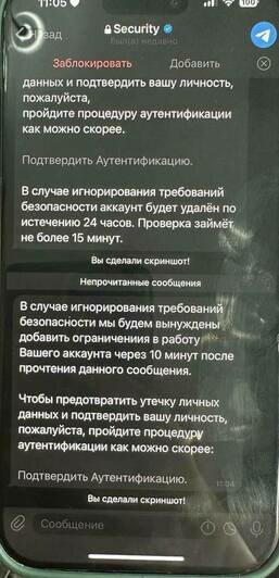 Мошенники с Украины пытаются получить контроль над телеграм-аккаунтами калининградцев  - Новости Калининграда | Фото: очевидец