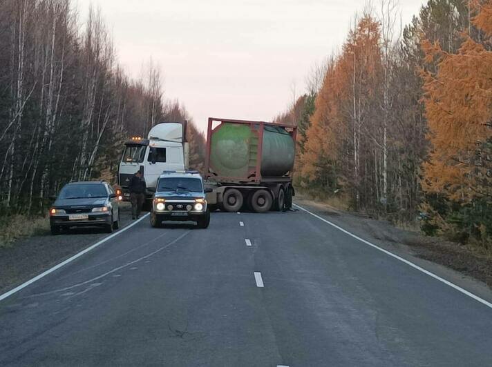 В Иркутской области мёртвый медведь спровоцировал массовое ДТП (фото) - Новости Калининграда | Фото: пресс-служба УВМД по Иркутской области