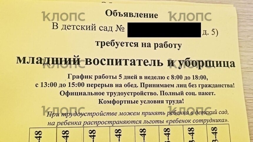 «Объявление некорректно»: в мэрии Калининграда отреагировали на попытку детсада зазвать на работу мигрантов - Новости Калининграда