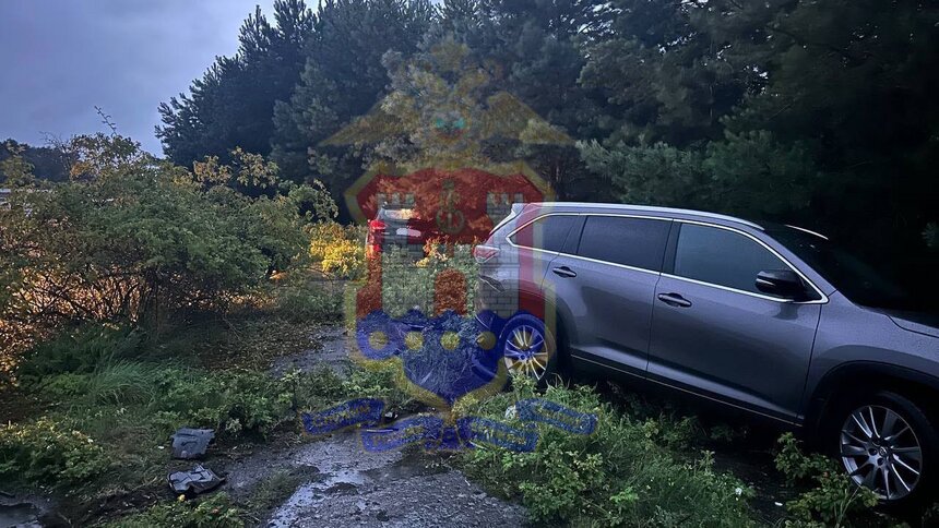 В Балтийске женщина не справилась с управлением и врезалась в припаркованное авто, возбуждено дело  - Новости Калининграда | Фото: УМВД Калининградской области 