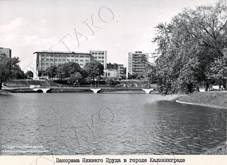 Панорама Нижнего пруда (1985–1986 годы)   | Государственный архив Калининградской области 