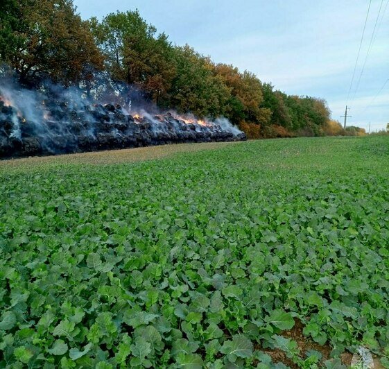 Площадь — 600 «квадратов»: в Правдинском районе загорелся огромный стог сена (фото, видео) - Новости Калининграда | Фото: МЧС региона