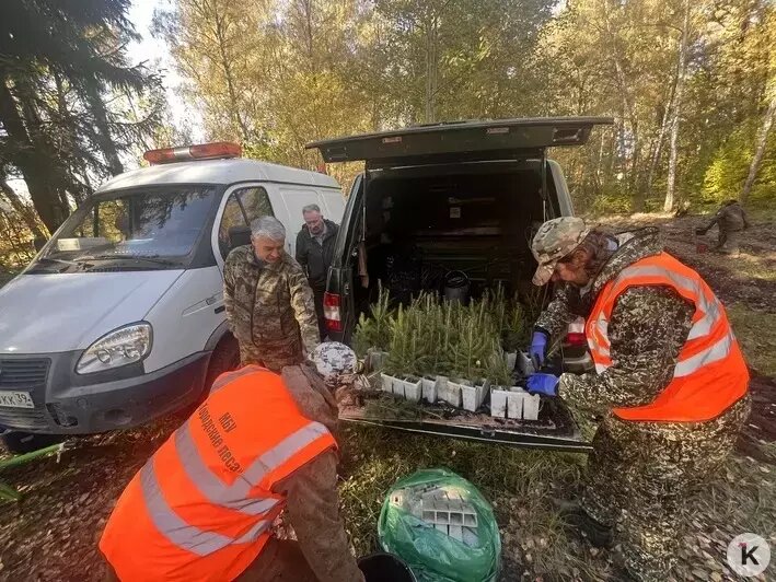 «Дождь» в самолёте и разбившаяся под Калининградом сотрудница полиции: 14 событий, которые обсуждали в выходные  - Новости Калининграда | Фото: «Клопс»