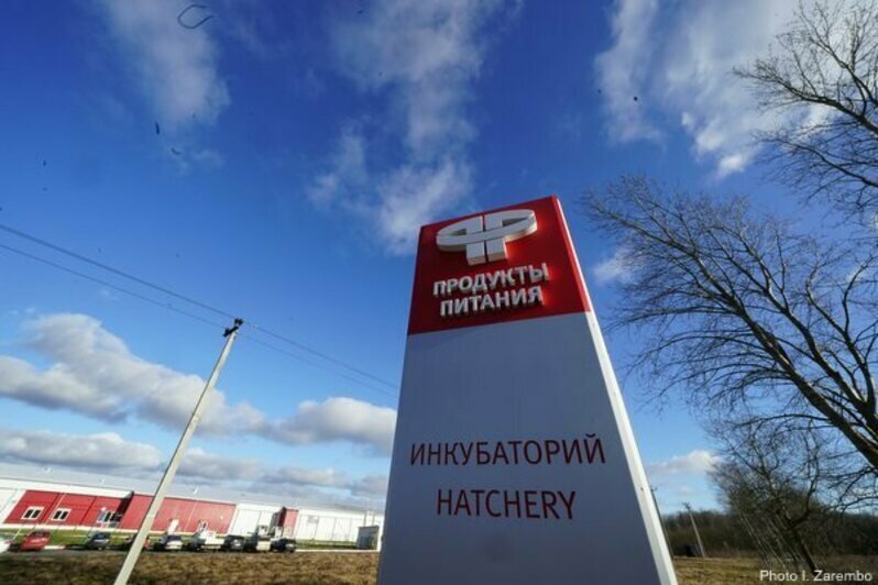 Фото предоставлено ООО «Птицеводческий комплекс «Продукты питания»