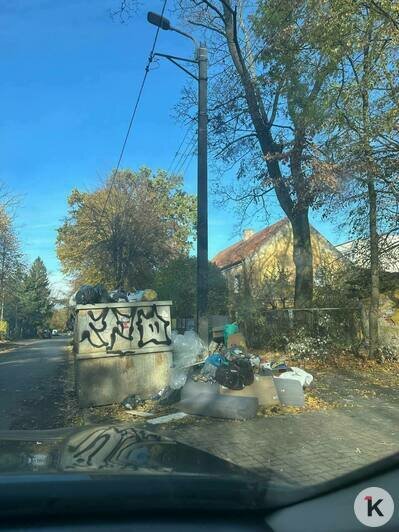 В мусоре ковыряются не только крысы, но и дети: калининградцы вновь недовольны, что контейнеры в их дворах переполнены (фото)   - Новости Калининграда | Фото: Антон В мусоре ковыряются не только крысы, но и дети: калининградцы вновь недовольны, что контейнеры в их дворах переполнены (фото)   - Новости Калининграда | Фото: Антон