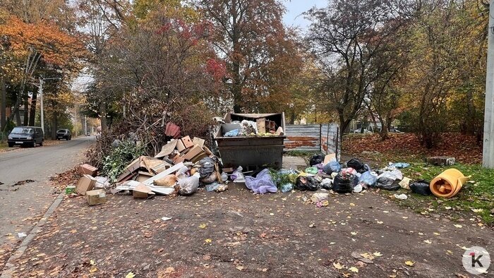 В мусоре ковыряются не только крысы, но и дети: калининградцы вновь недовольны, что контейнеры в их дворах переполнены (фото)   - Новости Калининграда | Фото: Наталия Ванадис В мусоре ковыряются не только крысы, но и дети: калининградцы вновь недовольны, что контейнеры в их дворах переполнены (фото)   - Новости Калининграда | Фото: Наталия Ванадис