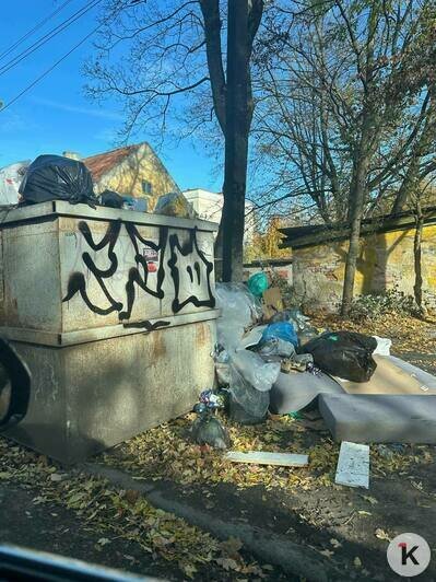 В мусоре ковыряются не только крысы, но и дети: калининградцы вновь недовольны, что контейнеры в их дворах переполнены (фото)   - Новости Калининграда | Фото: Антон В мусоре ковыряются не только крысы, но и дети: калининградцы вновь недовольны, что контейнеры в их дворах переполнены (фото)   - Новости Калининграда | Фото: Антон