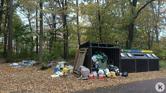 В мусоре ковыряются не только крысы, но и дети: калининградцы вновь недовольны, что контейнеры в их дворах переполнены (фото)   - Новости Калининграда | Фото: Татьяна Батыршина