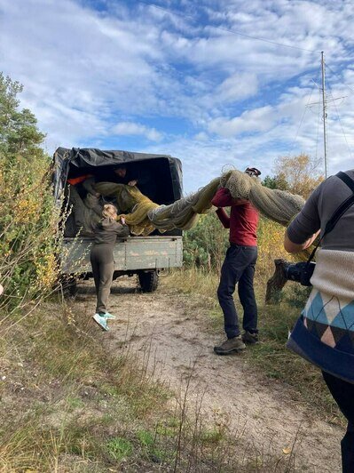 На Куршской косе окольцевали в три раза меньше птиц, чем в прошлом году  - Новости Калининграда | Фото: полевой стационар «Фрингилла»