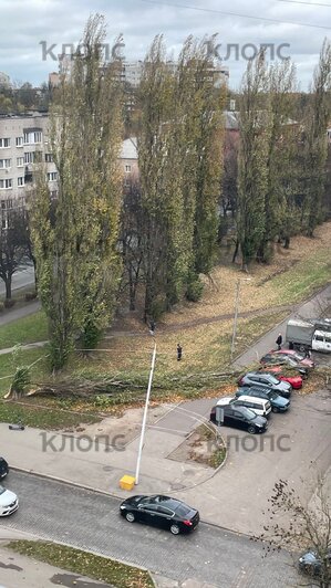 Оторванная кровля, разбросанные помойки и ветка во дворе: что натворил шторм в Калининграде (фото, видео)  - Новости Калининграда | Фото: очевидцы 