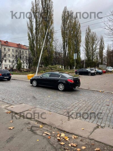 Оторванная кровля, разбросанные помойки и ветка во дворе: что натворил шторм в Калининграде (фото, видео)  - Новости Калининграда | Фото: очевидцы 