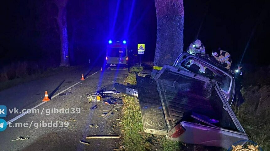 Въехал в дерево: под Багратионовском в ДТП скончался водитель (фото) - Новости Калининграда | Фото: ГАИ региона