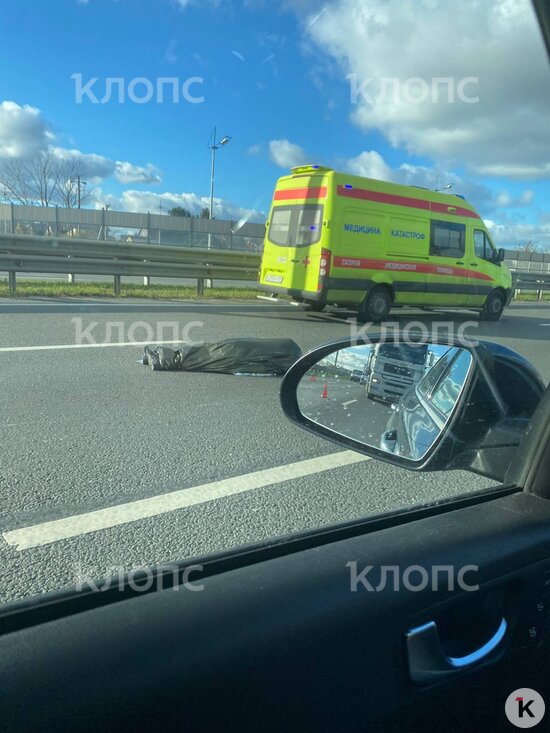 Очевидцы: на окружной возле Малого Васильково на дороге лежит тело (фото) - Новости Калининграда | Фото: очевидец 