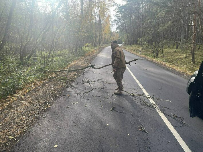 На Куршской косе предположили, в честь кого могли назвать разбушевавшийся циклон «Мартина» - Новости Калининграда | Фото: пресс-служба национального парка «Куршская коса»