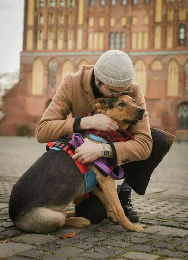 Фотосессия с питомцами на Острове Канта  | Фото: Анна Шевченко