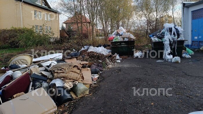 К мусорному беспределу подключилась ещё и популярная торговая сеть: в Калининграде вновь переполняются кески (фото)  - Новости Калининграда | Фото: Александр Валерьев